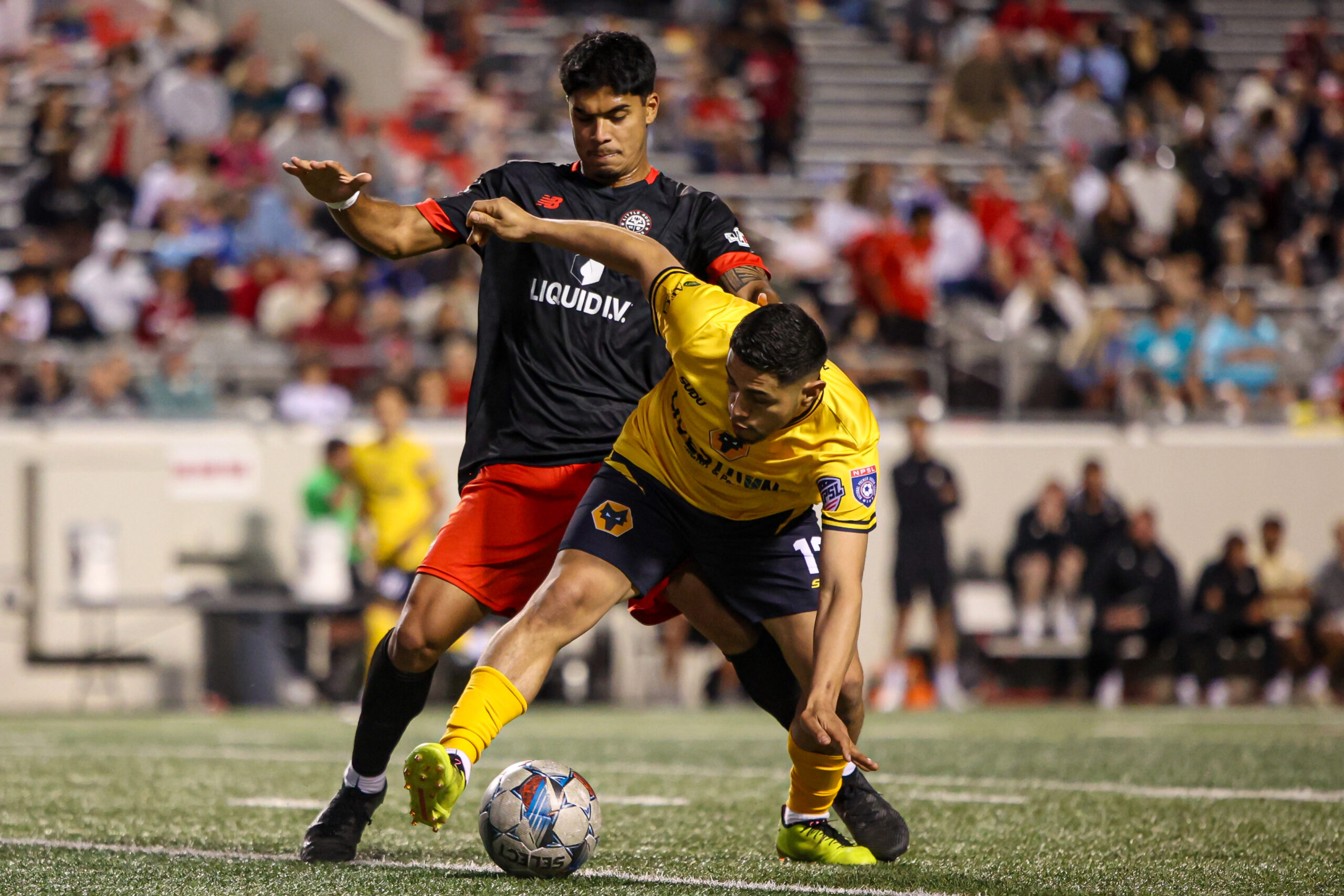 Arkansas Wolves player competing in front of a matchday crowd